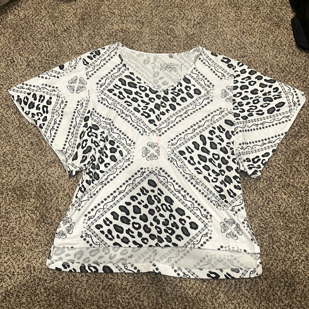 Panhandle cheetah